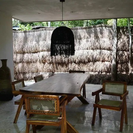 Pools Privadas Rooftop Selva * Tulum