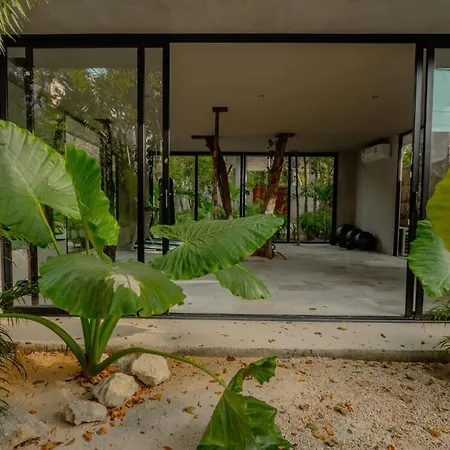 Pools Privadas Rooftop Selva Villa