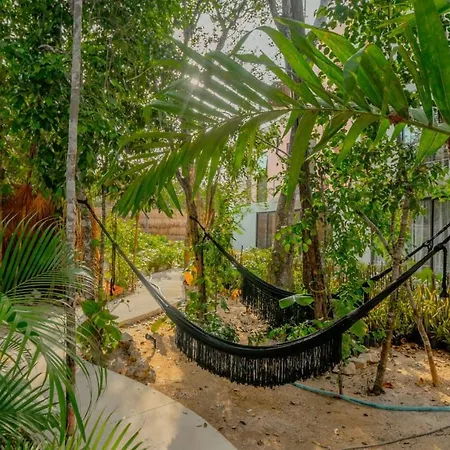 Villa Pools Privadas Rooftop Selva