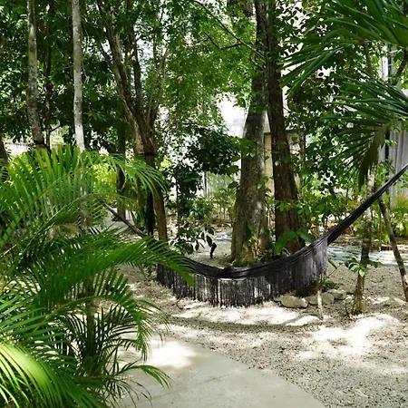 Pools Privadas Rooftop Selva *