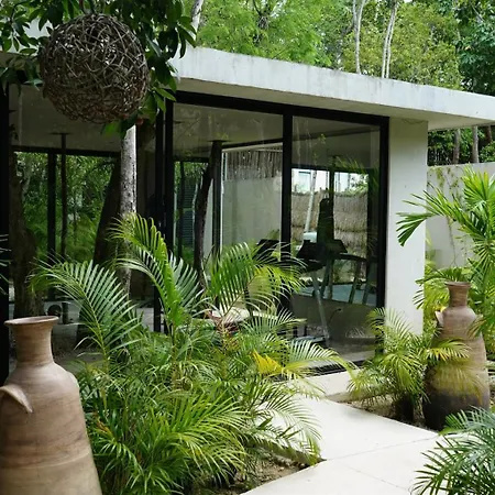 Pools Privadas Rooftop Selva