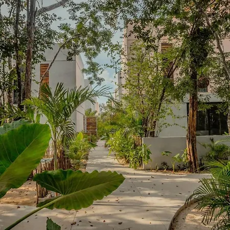 Pools Privadas Rooftop Selva *