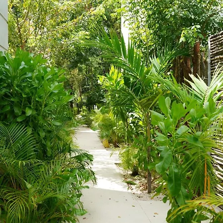 Villa Pools Privadas Rooftop Selva *