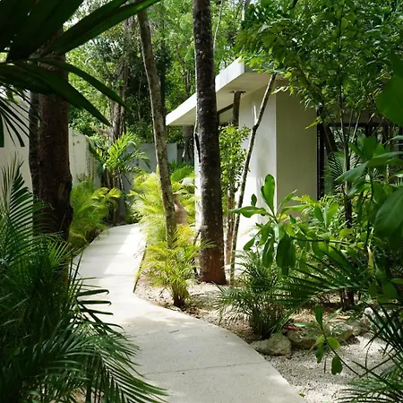 Pools Privadas Rooftop Selva Tulum