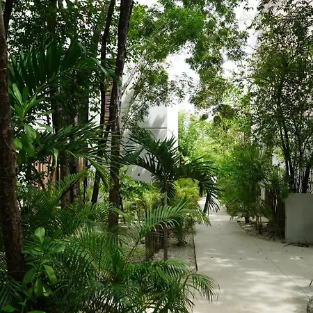 Villa Pools Privadas Rooftop Selva Tulum