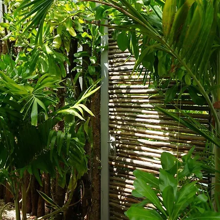Villa Pools Privadas Rooftop Selva Tulum