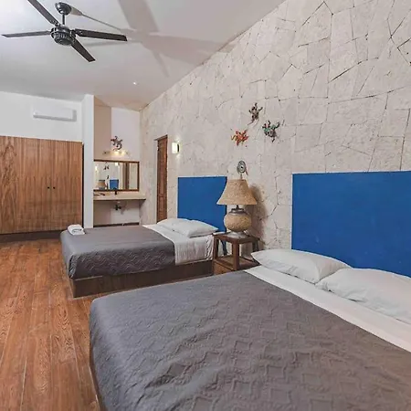 Beachfront With Private Heated Pool Jacuzzi Sauna Ocean Views & Ac - 7th Heaven Holiday home
