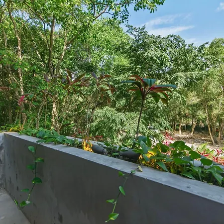 Luxury 4 Bedroom In Aldea Zama Near And Downtown With Private Pool Jacuzzi And Sauna Tulum