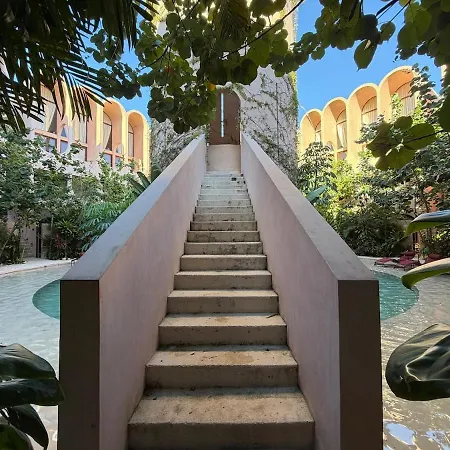 Apartment Wellness & Organic