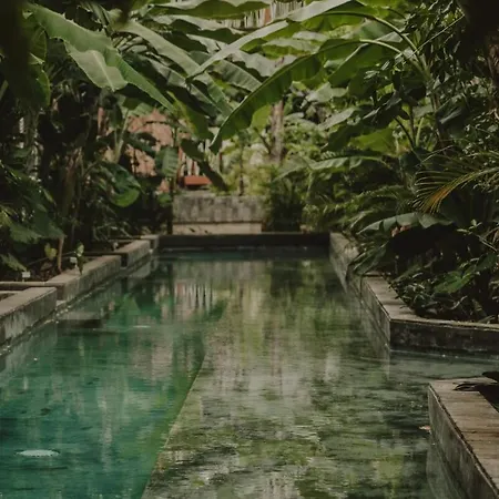 Private Jungle 1br Retreat & Fast Wi-fi *