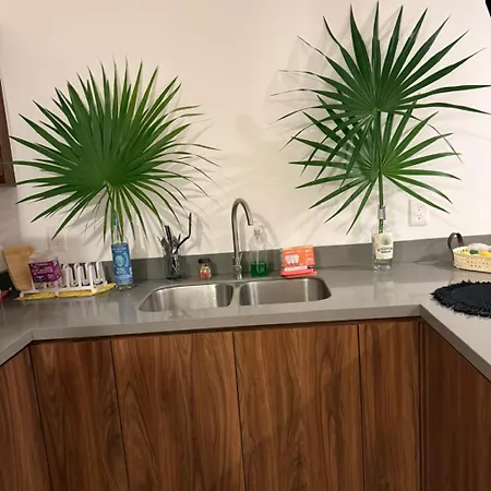 Brand New 2br In Gran Apartment *