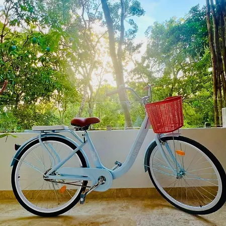 Apartment #teamotulum Jungle Escape In *