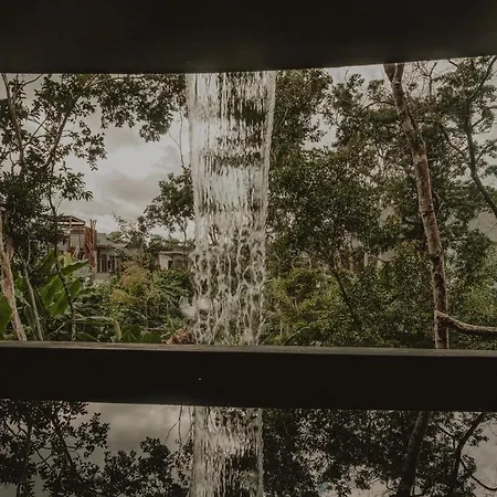 Private Jungle 1br Retreat & Fast Wi-fi *