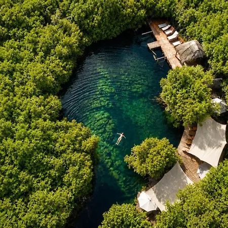 Garden Atelier - Private Cenote & Steps From The *