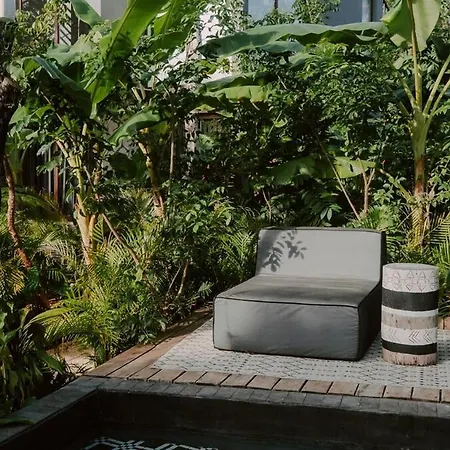 Apartment Private Jungle 1br Retreat & Fast Wi-fi Tulum