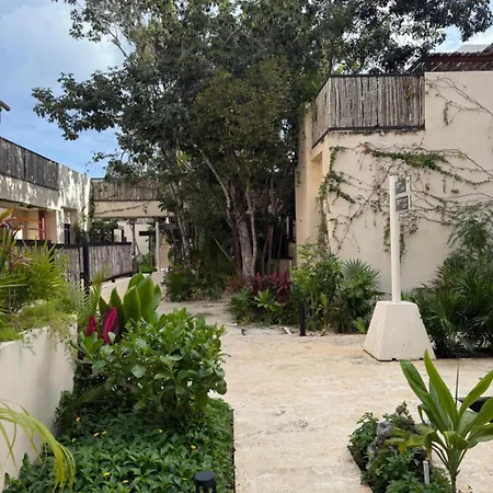 Brand New 2br In Gran Apartment *