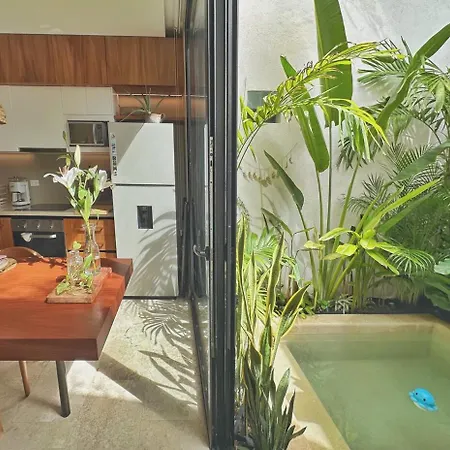 Apartment New Jungle Retreat 1br2ba Garden Private Pool Tulum