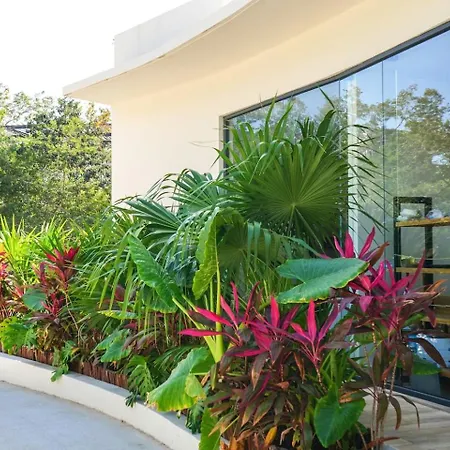 Temple Loft Rooftop Infinity Selva Tulum