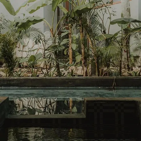 Apartment Private Jungle 1br Retreat & Fast Wi-fi Tulum