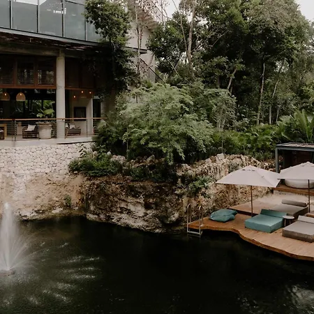 Luxe 1 Bedroom Cenote Sauna Gym And Private Terrrace With Pool *