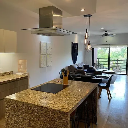 Apartment Penthouse 3br Only 1 Mile From