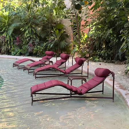 Wellness & Organic Tulum