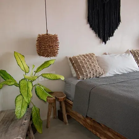 Vida Jungle Incl Rooftop Pool *