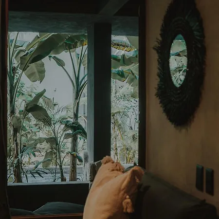 Private Jungle 1br Retreat & Fast Wi-fi *