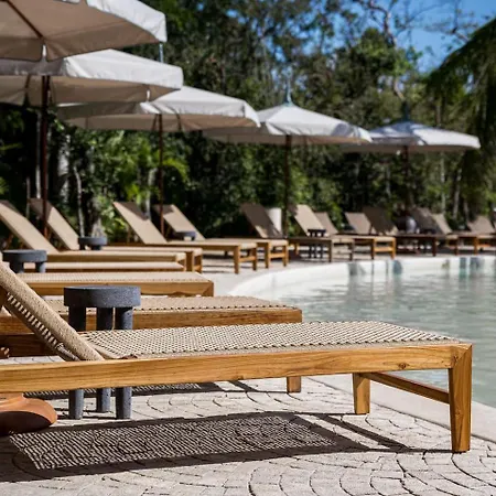 Chic Wrestaurant, Yoga, Coworking Areas *