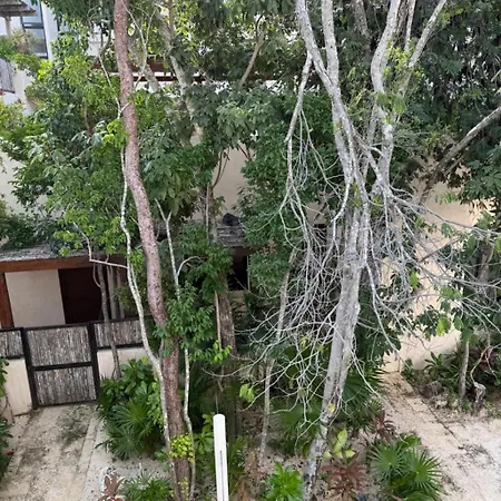 Brand New 2br In Gran Apartment Tulum