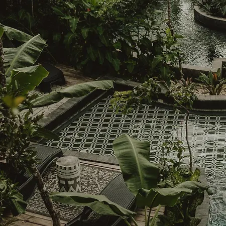 Private Jungle 1br Retreat & Fast Wi-fi Tulum