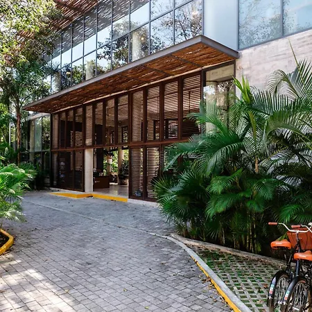 Modern 1br At Xalet Luxury With Cenote & Pool Apartment