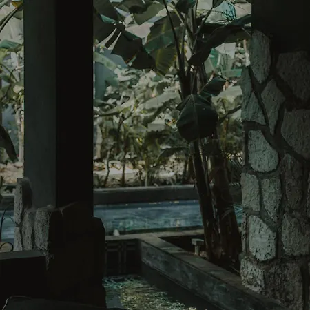 Apartment Private Jungle 1br Retreat & Fast Wi-fi Tulum