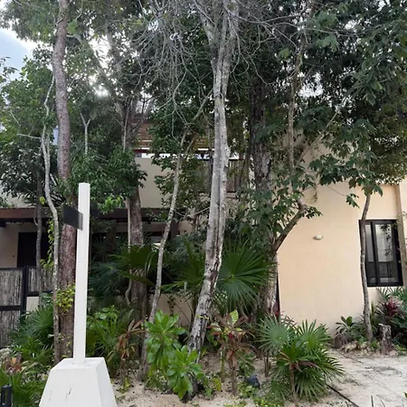 Brand New 2br In Gran