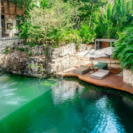 Apartment Modern 1br At Xalet Luxury With Cenote & Pool *