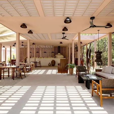 Chic Wrestaurant, Yoga, Coworking Areas