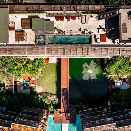 Modern 1br At Xalet Luxury With Cenote & Pool Apartment *