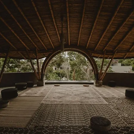 Private Jungle 1br Retreat & Fast Wi-fi *
