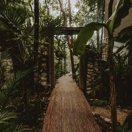 Private Jungle 1br Retreat & Fast Wi-fi *