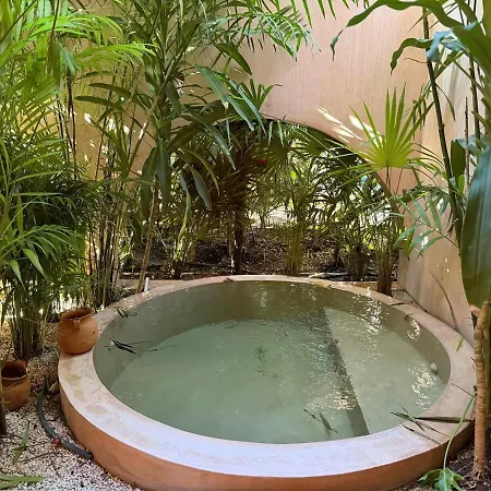 Wellness & Organic Apartment Tulum