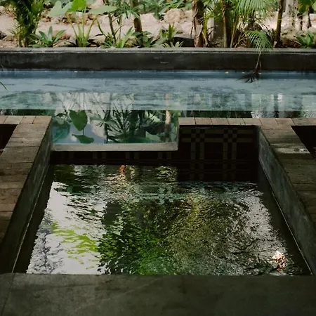 Apartment Private Jungle 1br Retreat & Fast Wi-fi *