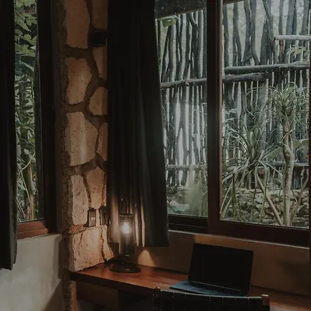 Private Jungle 1br Retreat & Fast Wi-fi *