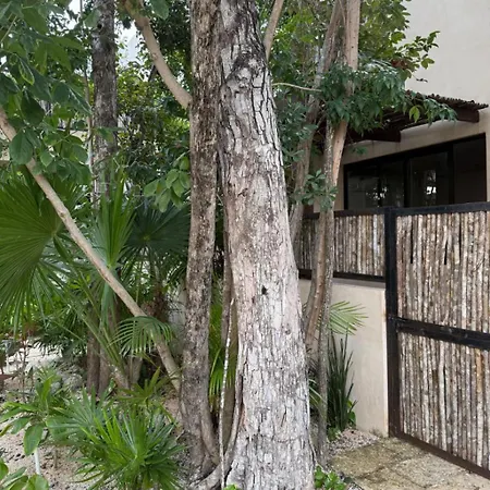 Brand New 2br In Gran Tulum
