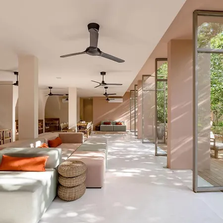Apartment Chic Wrestaurant, Yoga, Coworking Areas