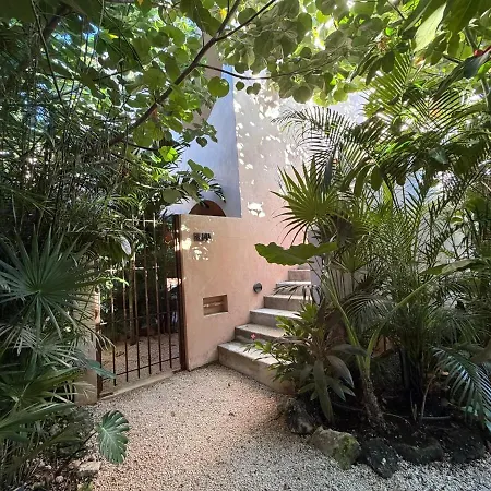 Wellness & Organic Tulum
