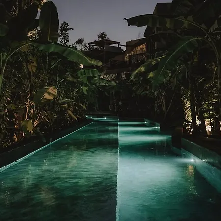 Private Jungle 1br Retreat & Fast Wi-fi Tulum