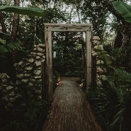 Apartment Private Jungle 1br Retreat & Fast Wi-fi *