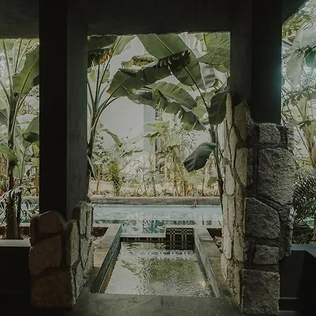 Private Jungle 1br Retreat & Fast Wi-fi * Tulum