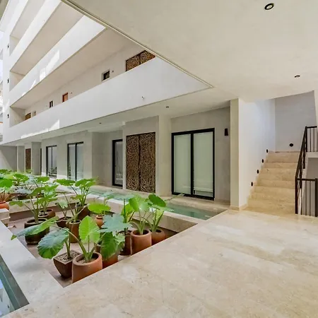Apartment Tropical Penthouse 2br And Jacuzzi *