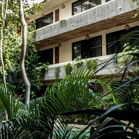 Bt Homes - Lujoso Ph, Naturaleza & Piscina Privada * Tulum